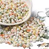 Baking Paint Glass Seed Beads X1-SEED-F006-01A-11-1
