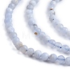 Natural Blue Lace Agate Beads Strands G-K366-B02-02-5