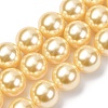 Electroplated Shell Pearl Beads Strands BSHE-G041-14mm-01-1