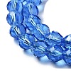 Transparent Glass Beads Strands GLAA-A014-03G-3