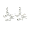 925 Sterling Silver Charms STER-A050-04B-S-1