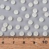 Transparent Glass Seed Beads SEED-Q041-01B-4