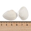 Natural Shell Beads SHEL-K009-16-3