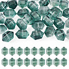 30Pcs Transparent Handmade Lampwork Beads LAMP-TADJ0001-12J-1