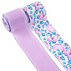 2 Skeins 2 Colors  Summer Theme Polyester Printed Wired Ribbon SRIB-TA0001-24A-2