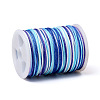 Segment Dyed Polyester Thread NWIR-I013-A-3