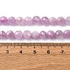 Natural Kunzite Beads Strands G-P587-B01-02-5