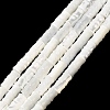 Natural Trochid Shell/Trochus Shell Beads Strands SHEL-A006-06A-1