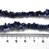 Natural Lapis Lazuli Chip Beaded Necklaces for Men Women NJEW-G159-01Y-5