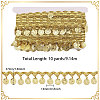 Polyester Metallic Thread & Sequins Lace Tassel Ribbon OCOR-WH0105-237B-2