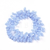 Glass Beads Strands EGLA-L020-J-4