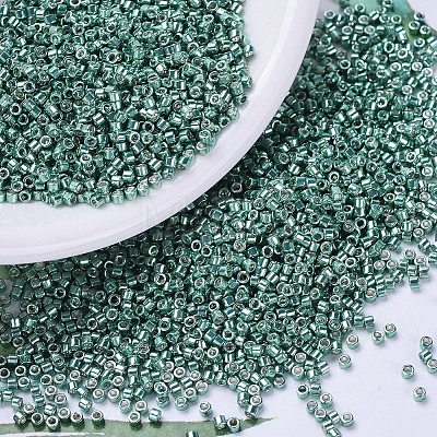 MIYUKI Delica Beads SEED-J020-DB0432-1