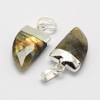 Natural Labradorite Pendants G-G720-13-S03-1