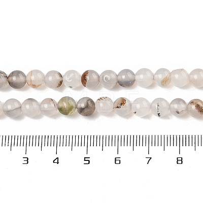 Natural Dendritic Agate Beads Strands G-A248-A07-01-1