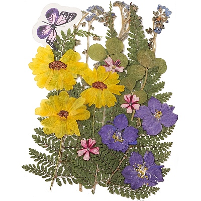 Pressed Dried Flowers DIY-YWC0001-97-1