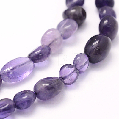 Natural Amethyst Beads Strands G-K230-13-1