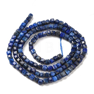 Natural Lapis Lazuli Beads Strands G-E608-B12-1