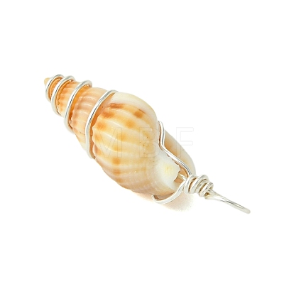 Natural Spiral Shell Pendants PALLOY-JF02793-02-1