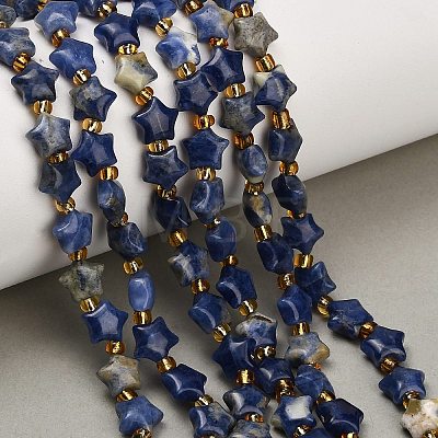 Natural Sodalite Beads Strands G-Z080-A28-8mm-1