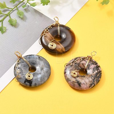 Donut/Pi Disc Natural Gemstone Pendants PALLOY-JF00508-1