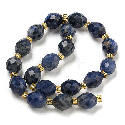 Natural Sodalite Beads Strands G-N342-57-1