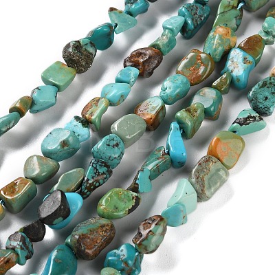 Natural Hubei Turquoise Beads Strands X-G-P497-01C-51-1