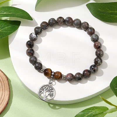 Natural Fluorescent Syenite Rock & Tiger Eye Round Bead Stretch Bracelets BJEW-JB11257-01-1