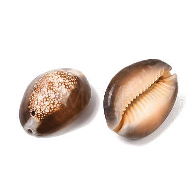 Natural Shell Oval Beads LS-BSHE-O007-44-1