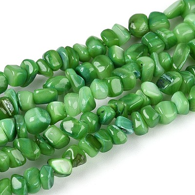 Natural Freshwater Shell Beads Strands SHEL-N037-04J-1
