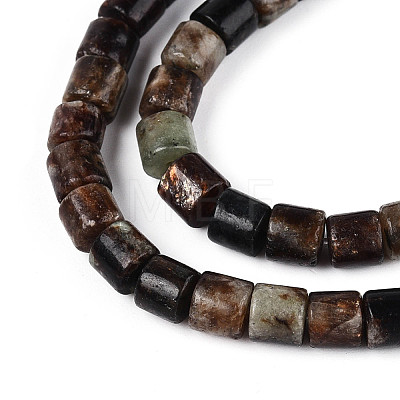 Natural Biotite Beads Strands G-T141-88B-1