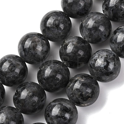 Natural Larvikite Beads Strands G-A310-A03-16mm-1
