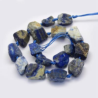 Natural Lapis Lazuli Beads Strands G-G697-E09-1
