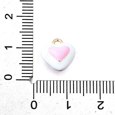 Zinc Alloy Enamel Charms LS-FIND-U029-01G-07-1