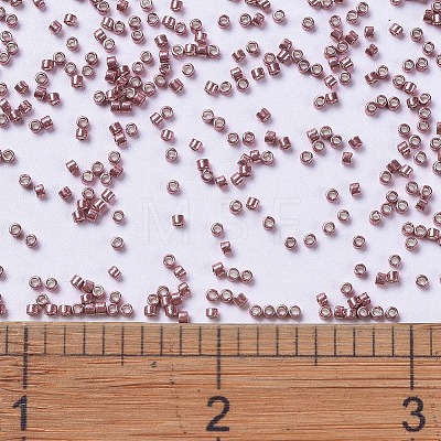 MIYUKI Delica Beads X-SEED-J020-DB0423-1