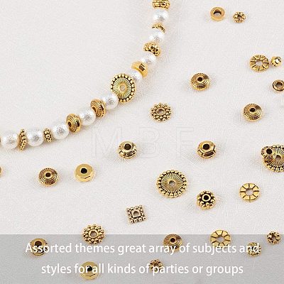 Tibetan Style Alloy Spacer Beads TIBEB-PH0004-21AG-1