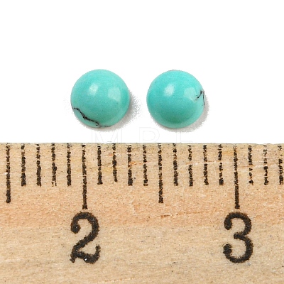 Synthetic Turquoise Cabochons G-H309-03-11-1