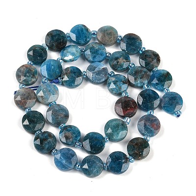 Natural Apatite Beads Strands G-C116-A28-01-1