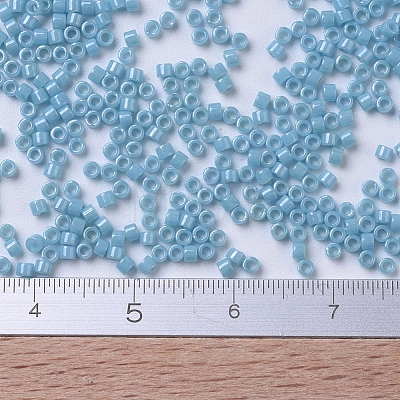 MIYUKI Delica Beads SEED-J020-DB0218-1