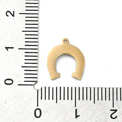 304 Stainless Steel Charms STAS-K263-05G-01-1