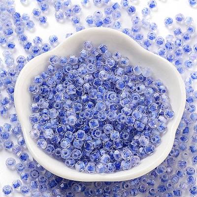 Glass Seed Beads SEED-A032-01K-1