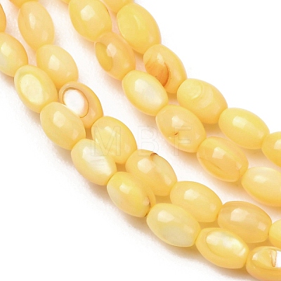 Dyed Natural Freshwater Shell Beads Strands SH-CBA2978-06B-1
