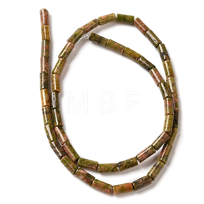 Natural Unakite Beads Strands G-B091-A02-01-1