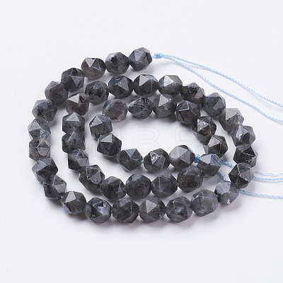 Natural Black Larvikite Beads Strands G-J376-47A-8mm-1