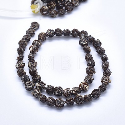 Shell Bead Strands SSHEL-P015-01C-8mm-1