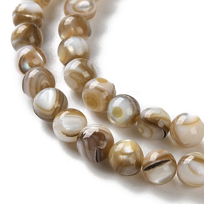 Natural Freshwater Shell Beads Strands X-SSHEL-B002-15-1