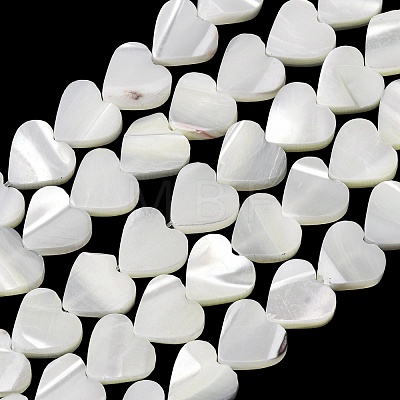 Natural Trochid Shell/Trochus Shell Beads Strands SH-CBA2978-19B-1