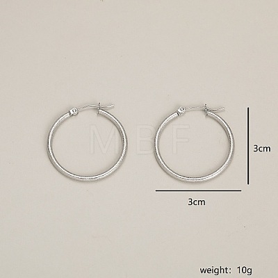 304 Stainless Steel Hoop Earrings BD2905-2-1
