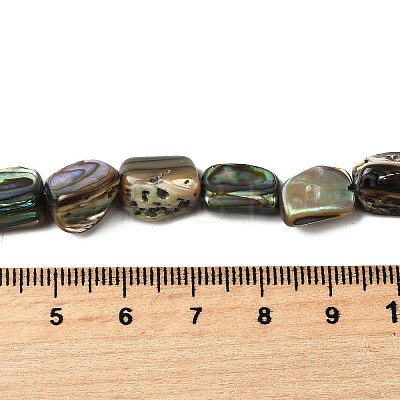 Natural Abalone Shell/Paua Shell Beads Strands BSHE-D300-01A-1