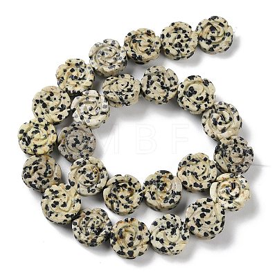Natural Dalmatian Jasper Beads Strands G-B065-B14-1