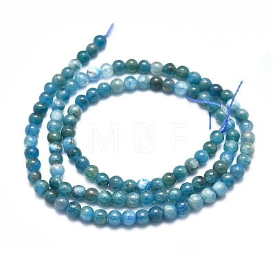 Natural Apatite Beads Strands G-K305-26-C-1